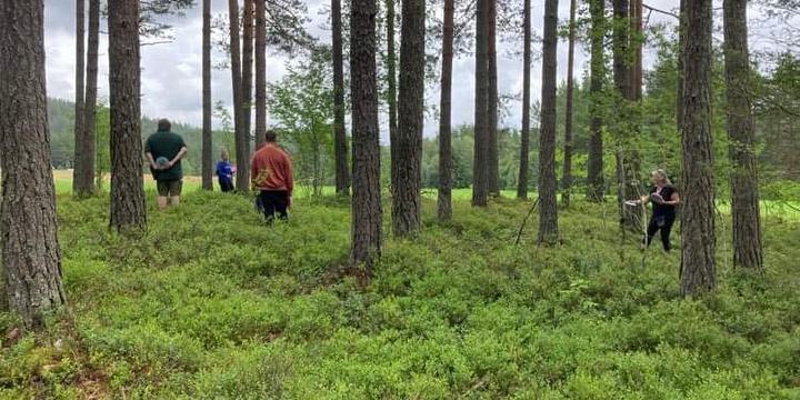 Bilde/illustrasjon for Ut å gå! Ut å gå!